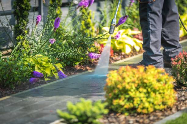 Best Animal Enclosure Cleaning  in Sea Cliff, NY